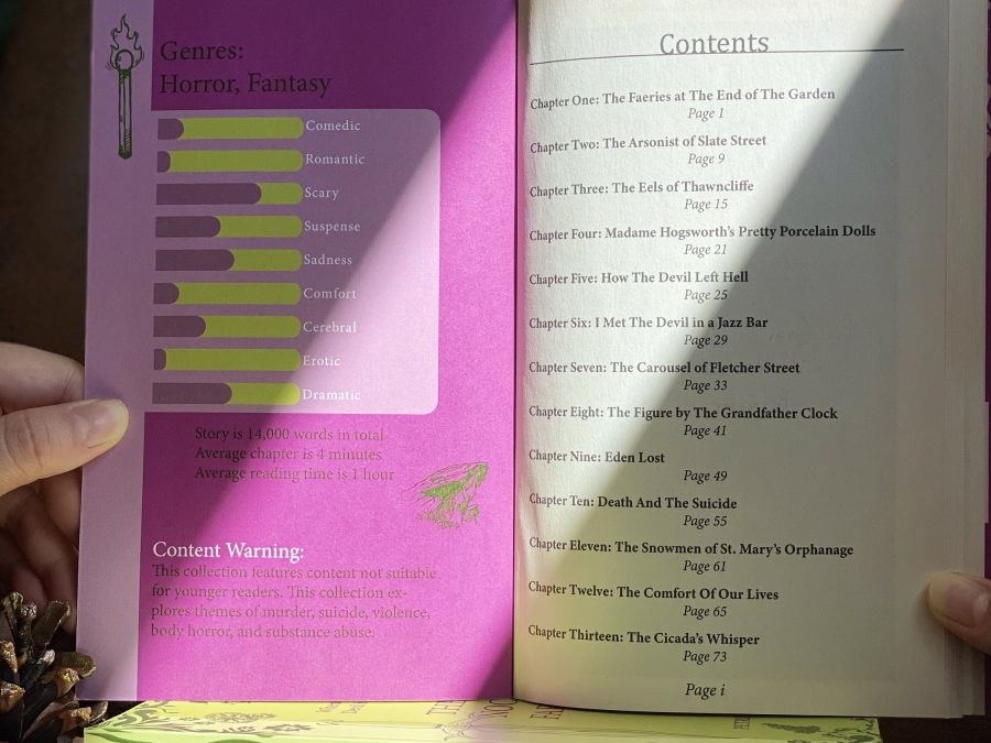 Product Image showing the inside of the cover, showing the emotional composition of the book, along with content guidance